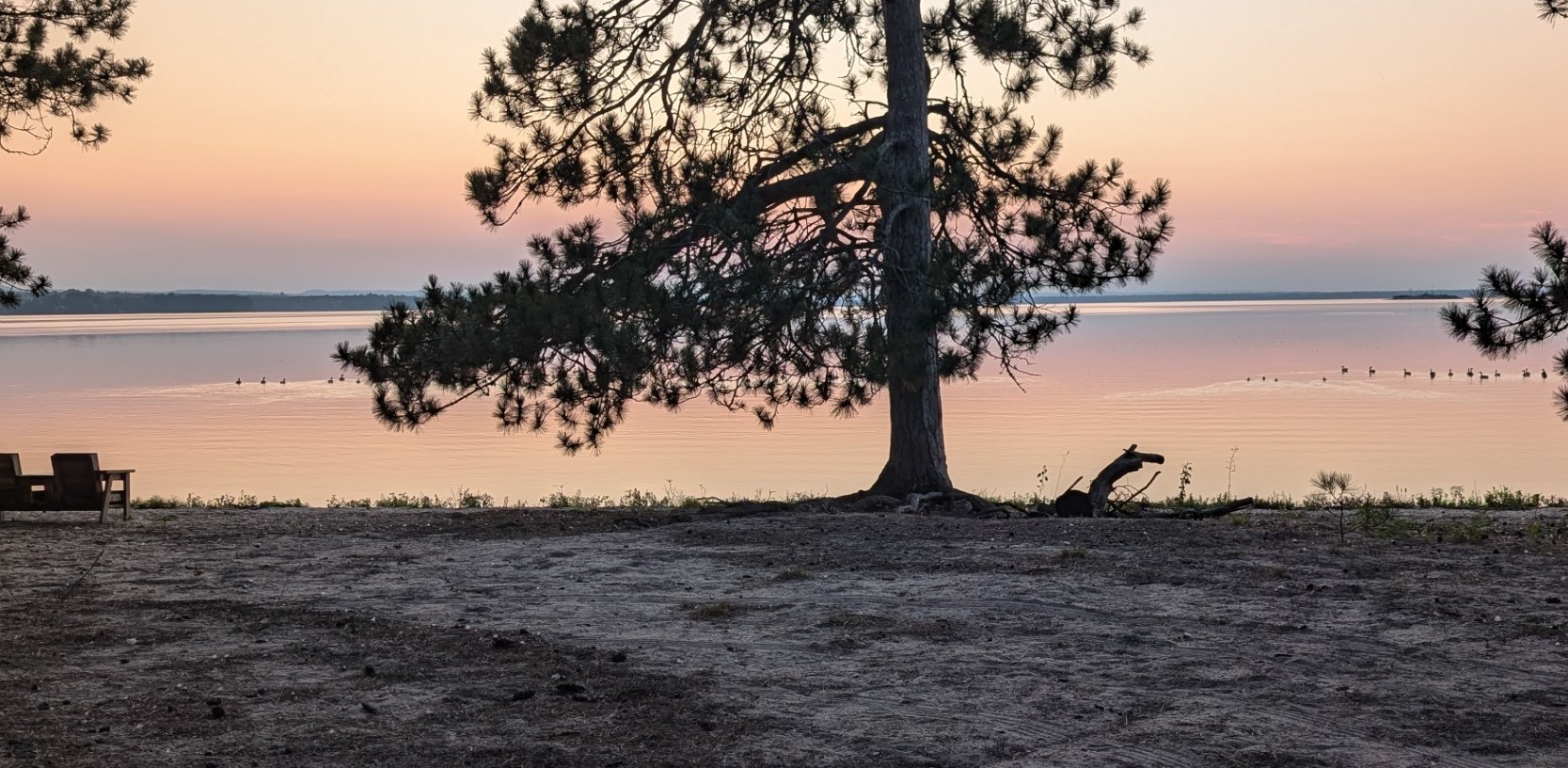 Header Image - hoffman-beach-1778003737.jpg